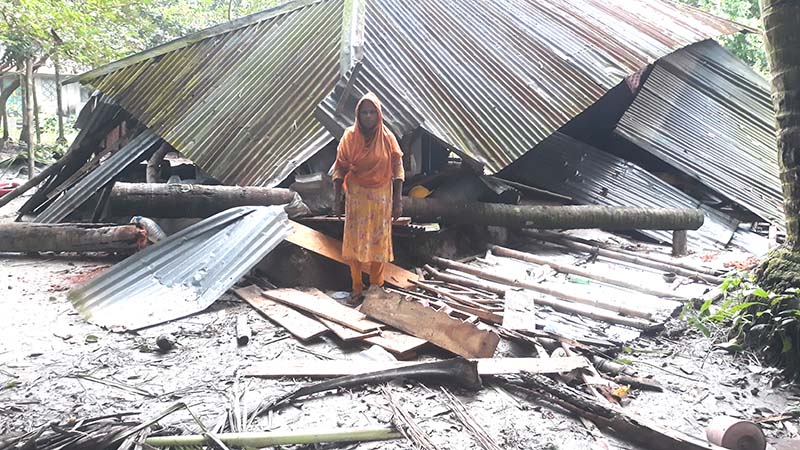 সালথায় ঘূর্ণিঝড়ে সব হারিয়ে খোলা আকাশের নিচে অসহায় হোসনেয়ারা