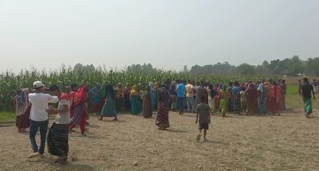 ধামরাইয়ে ভুট্টা ক্ষেত থেকে যুবকের মৃতদেহ উদ্ধার