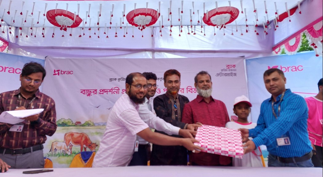 শৈলকূপায় ব্র্যাকের বাছুর প্রদর্শনী ও খামারিদের মাঝে পুরস্কার বিতরণ