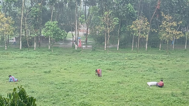 সংগ্রামী মায়ের গল্প: বৃষ্টির মধ্যেও চলমান এক জীবনযুদ্ধ