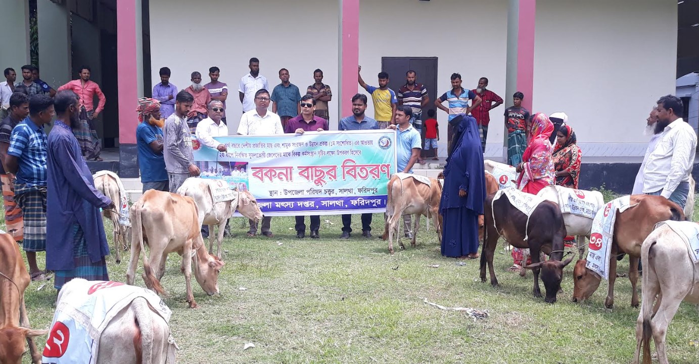 সালথায় জেলেদের মাঝে বকনা বাছুর বিতরণ