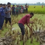 আক্কেলপুরে ফসলি মাঠ থেকে মাটিচাপা দেওয়া মরদেহ উদ্ধার