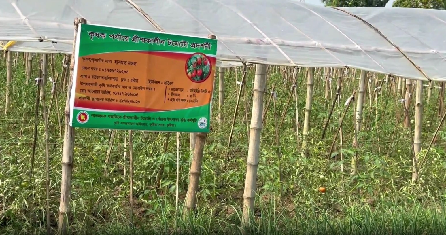 কুষ্টিয়ায় গড়ে তোলা হয়েছে মসলা গ্রাম