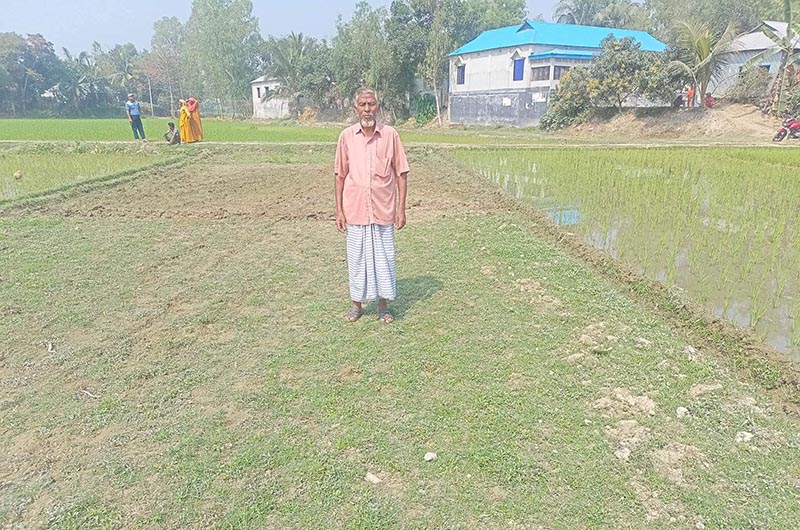 আ.লীগ কর্মীর জমিতে হালচাষ-সেচ দিচ্ছে না বিএনপি সমর্থকরা!
