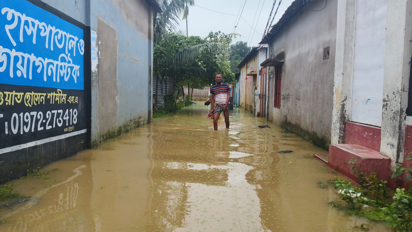 শ্রীপুরে প্রবল বর্ষণে ফসলের ব্যাপক ক্ষতি, বাসস্থানে জলাবদ্ধতায় চরম ভোগান্তি
