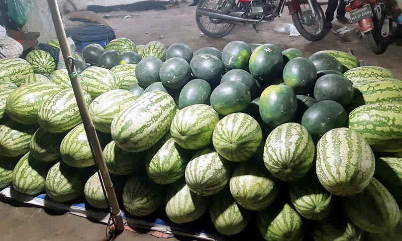 ঠাকুরগাঁওয়ের বাজারে উঠেছে তরমুজ, দাম আকাশচুম্বি