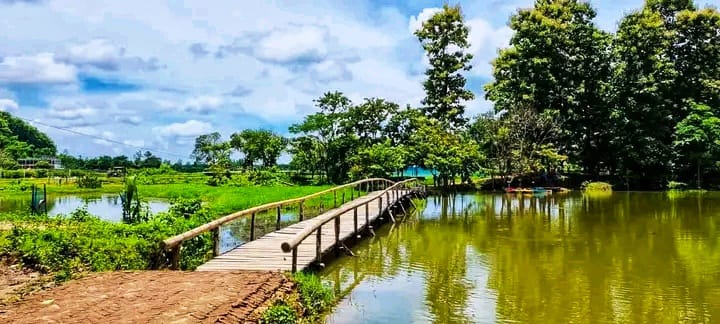 দখলমুক্ত হয়ে ফের চালু চকরিয়ার সরকারি পর্যটন স্পট "নিভৃতে নিসর্গ পার্ক"