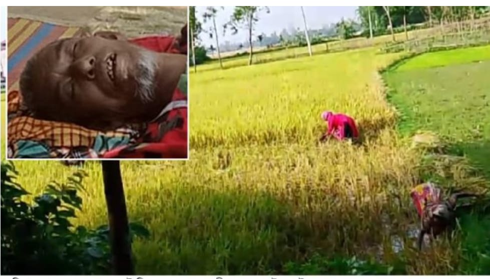 বাদী পক্ষ মিথ্যা হত্যা মামলা দিয়ে বিবাদীর বাড়িঘরে লুটপাট