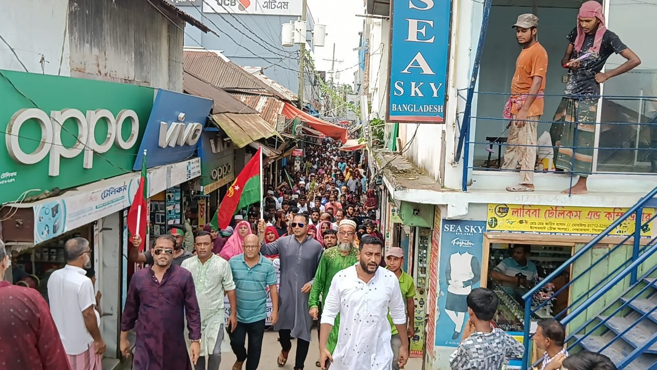 নেছারাবাদে বিএনপির বিজয় র‍্যালি