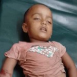 চুয়াডাঙ্গায় পাখিভ্যানের ধাক্কায় শিশুর মৃত্যু