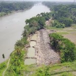 পটুয়াখালীতে জোরপূর্বক জমি দখল ও গাছ কাটার অভিযোগে পাউবোর বিরুদ্ধে মামলা