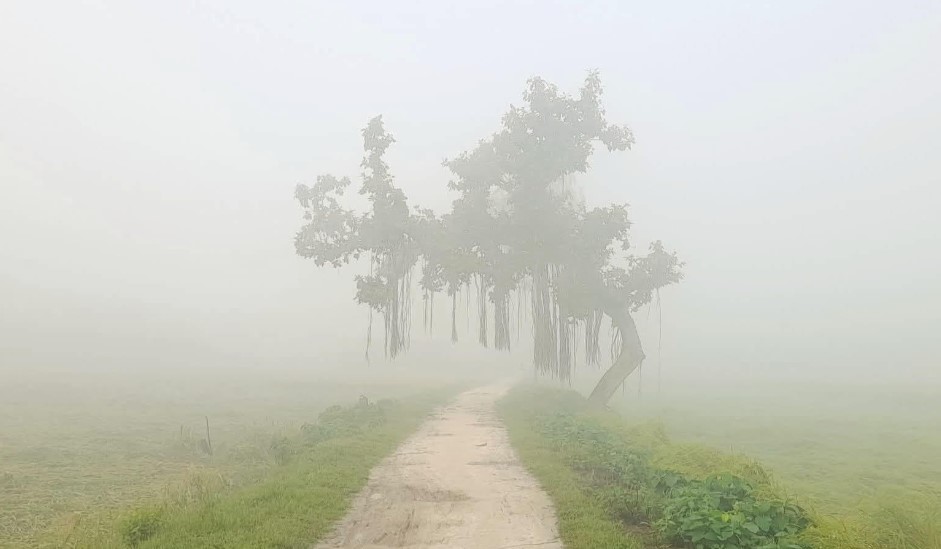 দিনাজপুরে শীতের দাপট: তাপমাত্রা নামল ১৩ ডিগ্রিতে, জনজীবনে প্রভাব