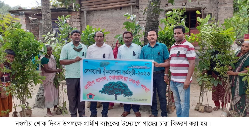 রাণীনগরে জাতীয় শোক দিবসে গ্রামীণ ব্যাংকের গাছের চারা বিতরণ