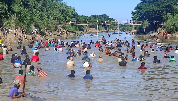 মৌলভীবাজারের জুড়ীতে ঐতিহ্যবাহী পলো বাইচ