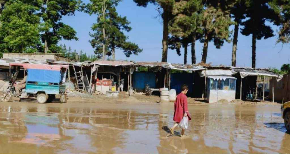 তীব্র খরার পর বন্যার তাণ্ডব, আফগানিস্তানে নিহত ১৭
