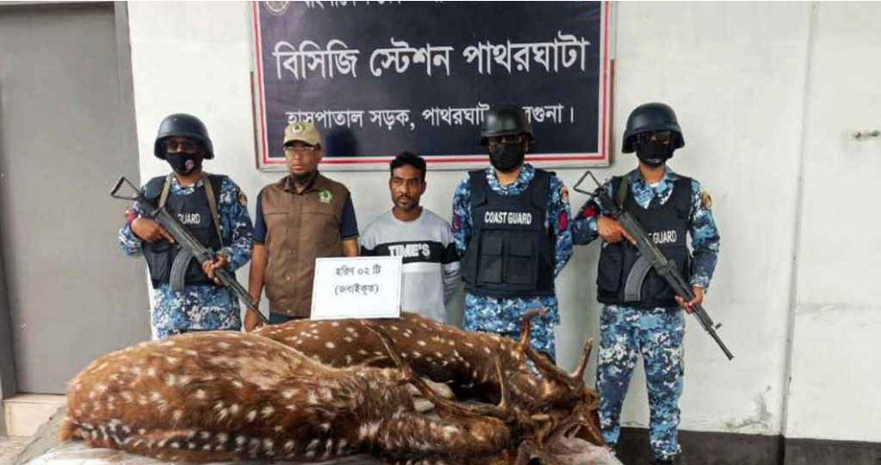 বন্যপ্রাণী শিকার করার কারণে স্বামীকে তালাক দিলেন স্ত্রী