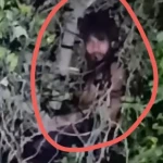 রাতে গাছের মগডালে যুবক, আজান দিলে নেমে আসে নিচে